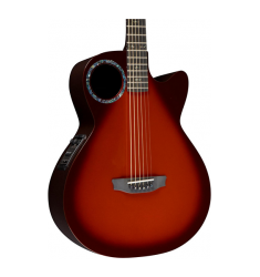 RainSong Concert Series CO-WS1005NS Acoustic-Electric Guitar