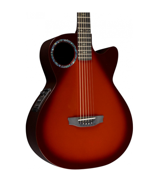 RainSong Concert Series CO-WS1005NS Acoustic-Electric Guitar