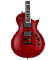 ESP LTD Deluxe EC-1000 Electric Guitar