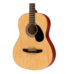 Rogue Starter Acoustic Guitar