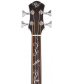 Michael Kelly Dragonfly 4 Fretless Acoustic-Electric Bass Smoke Burst