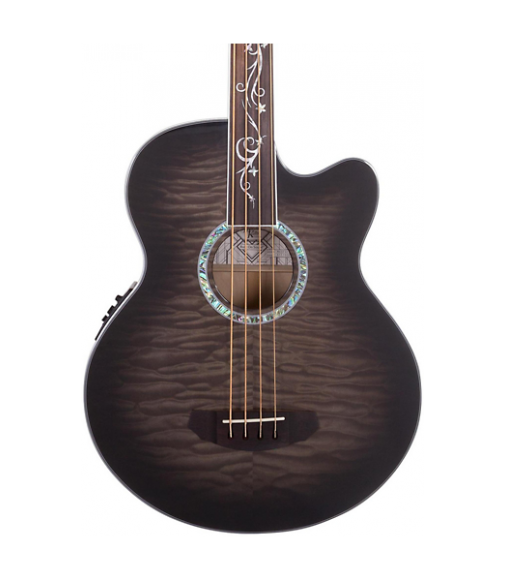 Michael Kelly Dragonfly 4 Fretless Acoustic-Electric Bass Smoke Burst