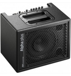 AER Alpha Plus Acoustic Combo Amplifier