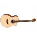 Faith FVHG Venus Hi Gloss Electro Acoustic Guitar