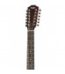 Taylor 150E 12-String Dreadnought Electro-Acoustic Guitar