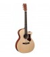 Martin GPCPA5 Performing Artist Electro Acoustic Guitar