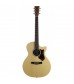 Martin GPCPA5 Performing Artist Electro Acoustic Guitar