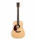 Martin D Junior Dreadnought, Left Handed