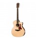 Taylor 214ce Grand Auditorium Electro-Acoustic Guitar