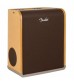 Fender Acoustic SFX