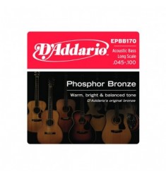 D'Addario EPBB170 Bronze Acoustic Bass Strings, Long Scale, 45-100