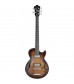 Ibanez AGB Artcore Vintage 5 String Bass in Tobacco Burst