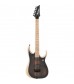 Ibanez RGD Iron Label RGDIX6MRW in Charcoal Brown Flat