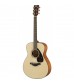 Yamaha FS800 Acoustic in Natural