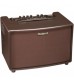 Roland AC60 60 Watt Rosewood Acoustic AMP