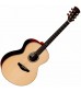 Faith Neptune High Gloss Acoustic Guitar