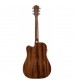 Washburn HD10SCE Electro Acoustic