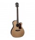 Washburn HG26SCE Electro Acoustic