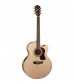 Washburn HJ40SCE Electro-Acoustic Guitar