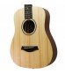 Taylor Baby BT1 Acoustic Guitar