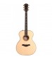 Taylor 514e-FLTD Grand Auditorium Electro-Acoustic