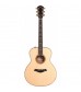 Taylor 516e-FLTD Fall Limited Edtion Grand Symphony Electro-Acoustic