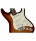 Fender Standard Stratocaster Plus Top Guitar in Tobacco Sunburst