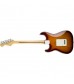 Fender Standard Stratocaster Plus Top Guitar in Tobacco Sunburst