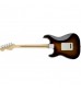 Fender Standard Stratocaster Electric Guitar MN in Brown Sunburst