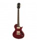 Cibson Blueshawk Deluxe Semi Hollowbody, Wine Red