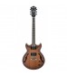Ibanez Artcore Hollow Body HH TF