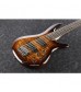 Ibanez SR Series 5 String Bass Dragon Eye Burst