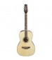 Takamine Limited 2013 Peak Electro Acoustic Guitar