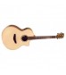 Faith Fncehg Neptune Electro Cutaway High Gloss Finish Acoustic Guitar