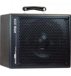 AER Amp One Bass Amplifier Combo