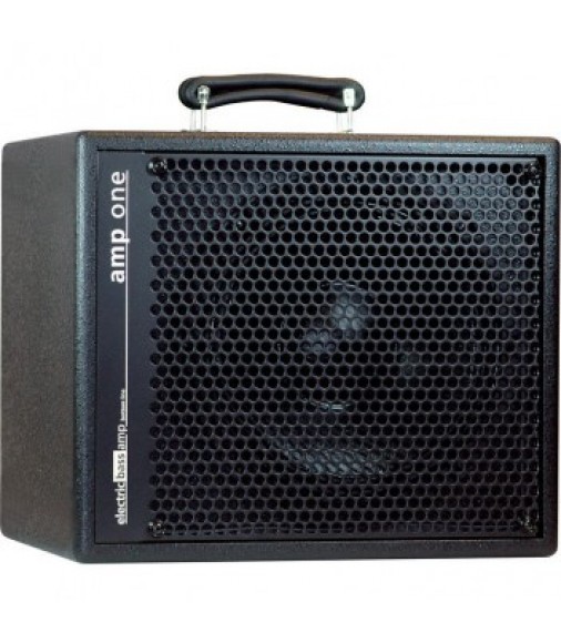 AER Amp One Bass Amplifier Combo