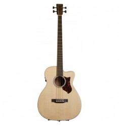 Martin BCPA4 Electro Acoustic Bass Guitar
