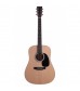 Martin D-1GT Road 1 Series Acoustic Guitar