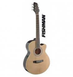 Eastcoast SA40 Mini Jumbo Electro Acoustic Guitar in Natural