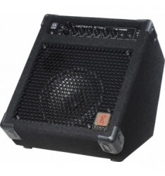 Eden EM25 Bass Guitar Combo