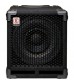 Eden EX110 Bass Guitar Speaker Cabinet (4 Ohms)