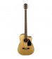 Fender CB100CE Acoustic Bass