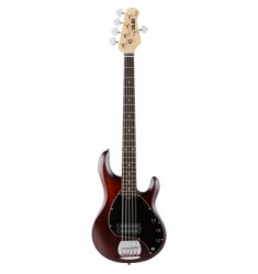 Sterling by Musicman SUB RAY5 5 String Bass Guitar Walnut Satin