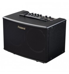 Roland AC40 Acoustic Chorus Guitar Amplifier