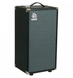 Ampeg SVT210AV Bass Cabinet