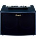 Roland AC60 Acoustic Guitar Amplifier