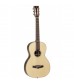 Tanglewood Java TW JPS Exotic Parlour Acoustic Natural