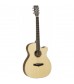 Tanglewood Premier SE TPE-SFCE-DS Electro Acoustic