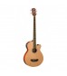 Washburn AB5 Electro Acoustic Bass Guitar Natural