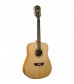 Washburn WD10S 12-String Dreadnought Acoustic Guitar in Natural